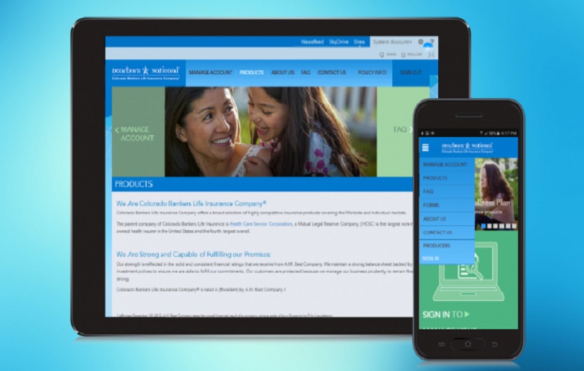 Robust Platform Enhances User Experience for Insurance and Financial Products Company screenshot 1